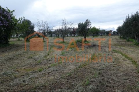 Farm i Nelas, Viseu, Nelas - € 75.000 | Ref: SAFTI:004945 - foto 6
