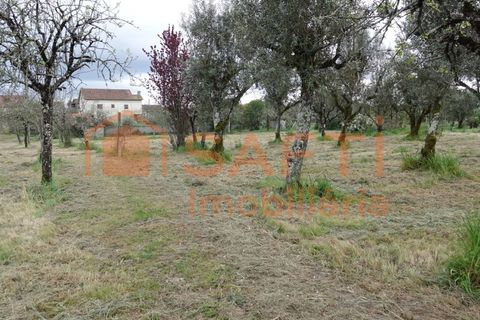 Farm i Nelas, Viseu, Nelas - € 75.000 | Ref: SAFTI:004945 - foto 7