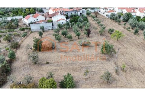Farm i Nelas, Viseu, Nelas - € 75.000 | Ref: SAFTI:004945 - foto 8