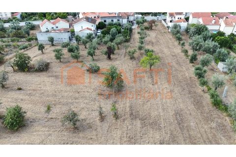 Farm i Nelas, Viseu, Nelas - € 75.000 | Ref: SAFTI:004945 - foto 9