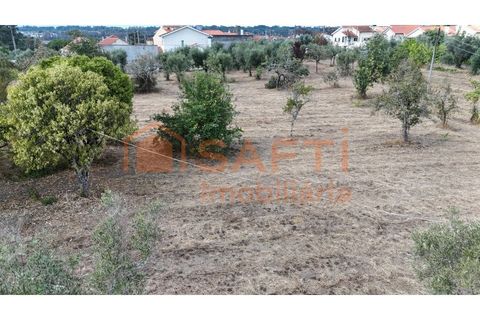 Farm i Nelas, Viseu, Nelas - € 75.000 | Ref: SAFTI:004945 - foto 10