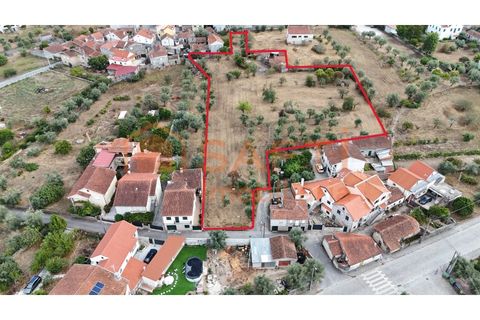 Farm i Nelas, Viseu, Nelas - € 75.000 | Ref: SAFTI:004945 - foto 11