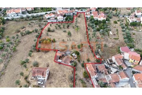 Farm i Nelas, Viseu, Nelas - € 75.000 | Ref: SAFTI:004945 - foto 12