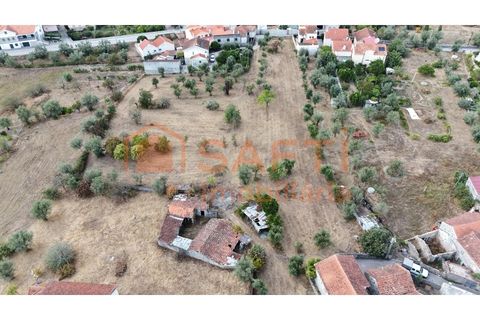Farm i Nelas, Viseu, Nelas - € 75.000 | Ref: SAFTI:004945 - foto 13