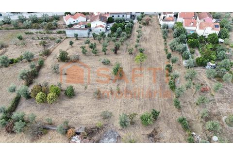 Farm i Nelas, Viseu, Nelas - € 75.000 | Ref: SAFTI:004945 - foto 14