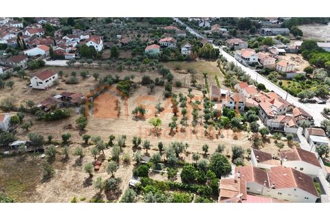 Farm i Nelas, Viseu, Nelas - € 75.000 | Ref: SAFTI:004945 - foto 15