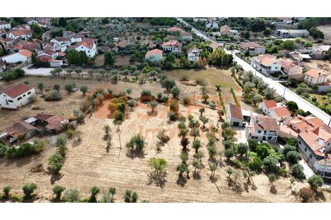 Farm i Nelas, Viseu, Nelas - € 75.000 | Ref: SAFTI:004945 - foto 16