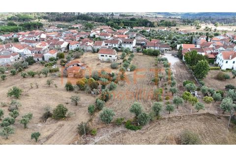 Farm i Nelas, Viseu, Nelas - € 75.000 | Ref: SAFTI:004945 - foto 18