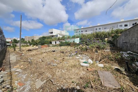 Helårsgrund i Lisbon, Lisbon, Lisbon - € 2.900.000 | Ref: TER_3381 - foto 5