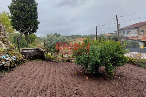 Helårsgrund i Viseu, Viseu, Viseu - € 47.500 | Ref: 189242114 - foto 1