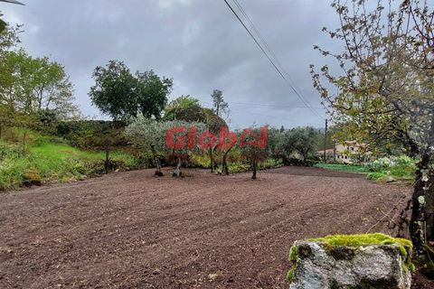 Helårsgrund i Viseu, Viseu, Viseu - € 47.500 | Ref: 189242114 - foto 2