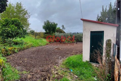 Helårsgrund i Viseu, Viseu, Viseu - € 47.500 | Ref: 189242114 - foto 3