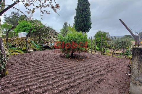 Helårsgrund i Viseu, Viseu, Viseu - € 47.500 | Ref: 189242114 - foto 4