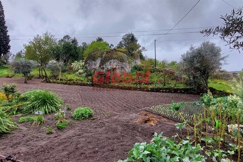 Helårsgrund i Viseu, Viseu, Viseu - € 47.500 | Ref: 189242114 - foto 5