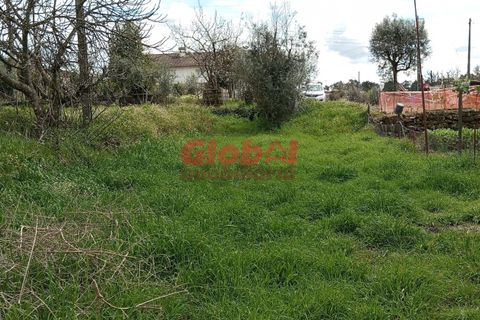 Helårsgrund i Viseu, Viseu, Viseu - € 32.000 | Ref: 189242115 - foto 2
