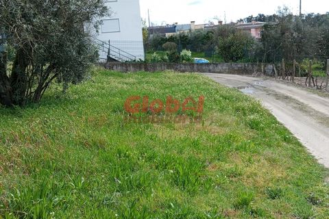 Helårsgrund i Viseu, Viseu, Viseu - € 32.000 | Ref: 189242115 - foto 3