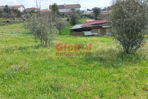 Helårsgrund i Viseu, Viseu, Viseu - € 32.000 | Ref: 189242115 - foto 4