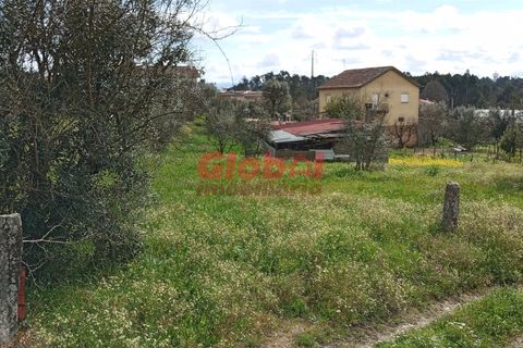 Helårsgrund i Viseu, Viseu, Viseu - € 32.000 | Ref: 189242115 - foto 5