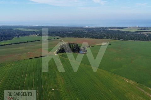 Landejendom i Sines, Setubal, Sines - € 16.500.000 | Ref: EXP_107RS1217-3559 - foto 2