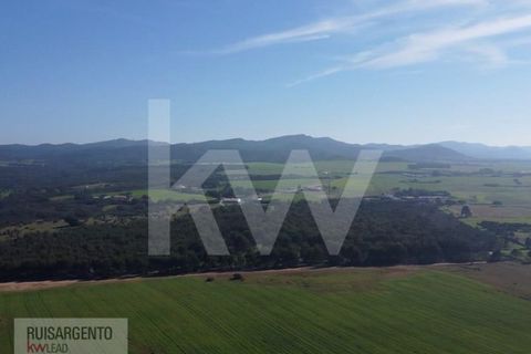 Landejendom i Sines, Setubal, Sines - € 16.500.000 | Ref: EXP_107RS1217-3559 - foto 5