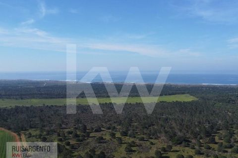 Landejendom i Sines, Setubal, Sines - € 16.500.000 | Ref: EXP_107RS1217-3559 - foto 6