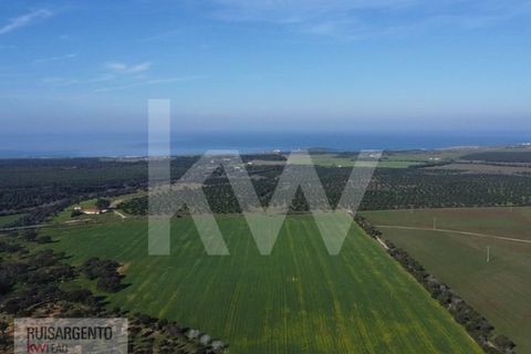 Landejendom i Sines, Setubal, Sines - € 16.500.000 | Ref: EXP_107RS1217-3559 - foto 3