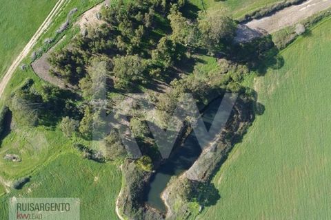Landejendom i Sines, Setubal, Sines - € 16.500.000 | Ref: EXP_107RS1217-3559 - foto 12