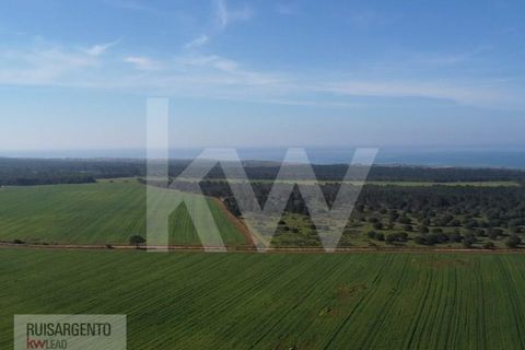 Landejendom i Sines, Setubal, Sines - € 16.500.000 | Ref: EXP_107RS1217-3559 - foto 14