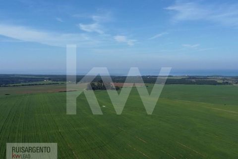 Landejendom i Sines, Setubal, Sines - € 16.500.000 | Ref: EXP_107RS1217-3559 - foto 15