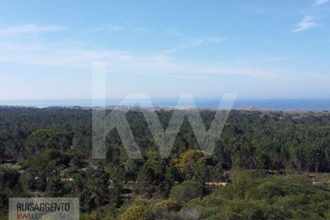 Landejendom i Sines, Setubal, Sines - € 16.500.000 | Ref: EXP_107RS1217-3559 - foto 16