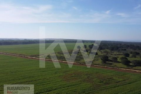 Landejendom i Sines, Setubal, Sines - € 16.500.000 | Ref: EXP_107RS1217-3559 - foto 17