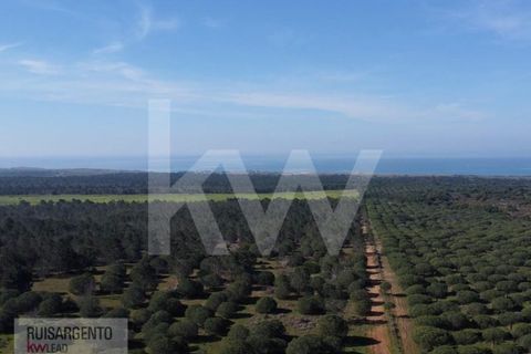 Landejendom i Sines, Setubal, Sines - € 16.500.000 | Ref: EXP_107RS1217-3559 - foto 18