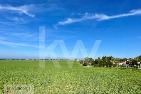 Landejendom i Sines, Setubal, Sines - € 16.500.000 | Ref: EXP_107RS1217-3559 - foto 19