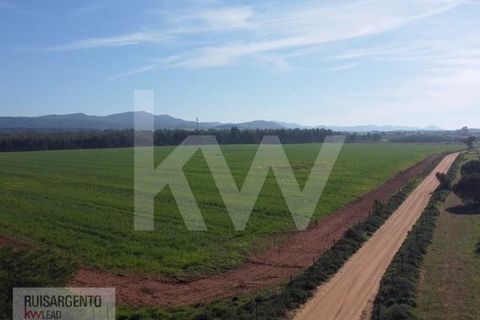 Landejendom i Sines, Setubal, Sines - € 16.500.000 | Ref: EXP_107RS1217-3559 - foto 20