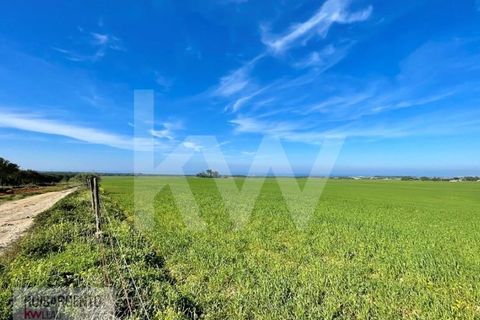 Landejendom i Sines, Setubal, Sines - € 16.500.000 | Ref: EXP_107RS1217-3559 - foto 21