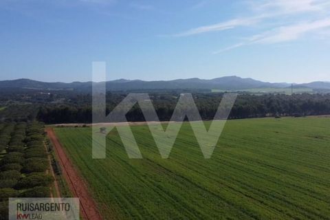 Landejendom i Sines, Setubal, Sines - € 16.500.000 | Ref: EXP_107RS1217-3559 - foto 22