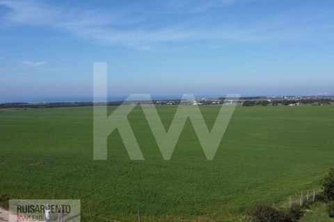 Landejendom i Sines, Setubal, Sines - € 16.500.000 | Ref: EXP_107RS1217-3559 - foto 23