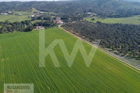 Landejendom i Sines, Setubal, Sines - € 16.500.000 | Ref: EXP_107RS1217-3559 - foto 24