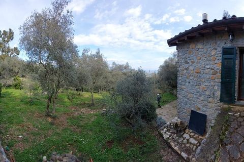 Villa a Ameglia, La Spezia, Ameglia - € 150.000 | Ref: 3312 - foto 6
