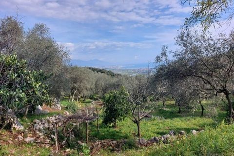 Villa a Ameglia, La Spezia, Ameglia - € 150.000 | Ref: 3312 - foto 8