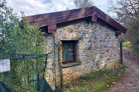 Villa a Ameglia, La Spezia, Ameglia - € 150.000 | Ref: 3312 - foto 9