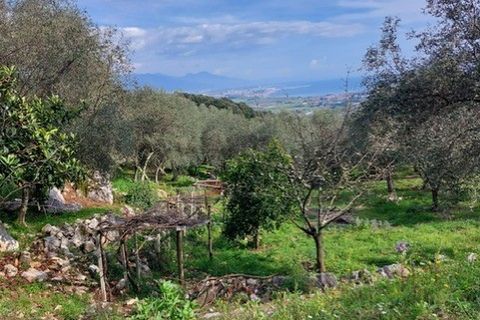 Villa a Ameglia, La Spezia, Ameglia - € 150.000 | Ref: 3312 - foto 10