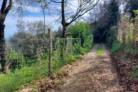 Villa a Ameglia, La Spezia, Ameglia - € 150.000 | Ref: 3312 - foto 11
