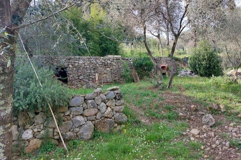 Villa a Ameglia, La Spezia, Ameglia - € 150.000 | Ref: 3312 - foto 13