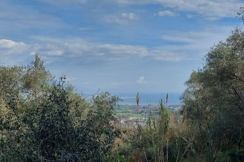 Villa a Ameglia, La Spezia, Ameglia - € 150.000 | Ref: 3312 - foto 14