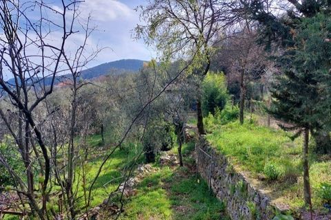 Villa a Ameglia, La Spezia, Ameglia - € 150.000 | Ref: 3312 - foto 15