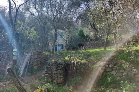 Villa a Ameglia, La Spezia, Ameglia - € 150.000 | Ref: 3312 - foto 16