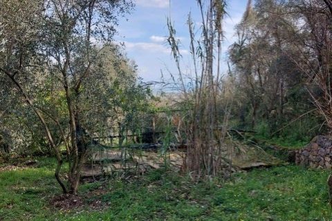 Villa a Ameglia, La Spezia, Ameglia - € 150.000 | Ref: 3312 - foto 20