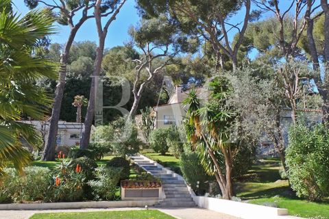 Villa i Saint-Jean-Cap-Ferrat, Alpes-Maritimes, Saint-Jean-Cap-Ferrat - € 15.900.000 | Ref: XP01539A - foto 2