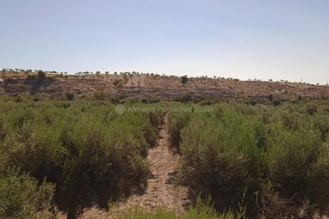 Helårsgrund i Albox, Almeria, Albox - € 45.000 | Ref: APS 1807 - foto 1